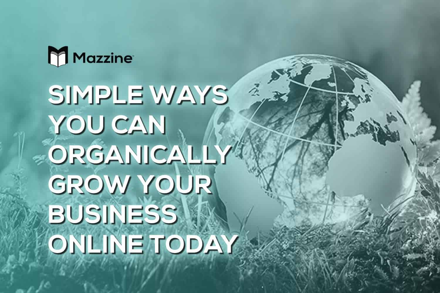 How You Can Start Growing Your Business Organically Online Today