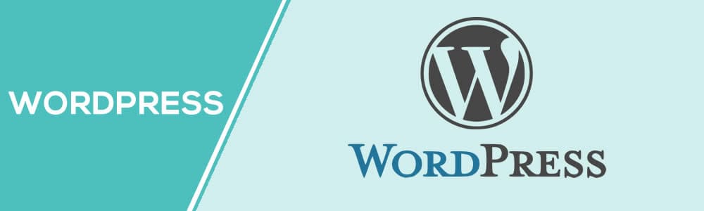 Wordpress - 11 Best Blog Sites for Writers (Pros and Cons)